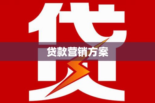 庆元贷款营销方案