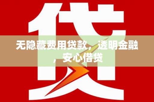 庆元无隐藏费用贷款，透明金融，安心借贷