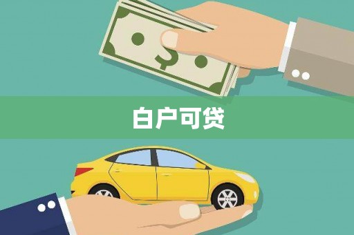 庆元白户可贷