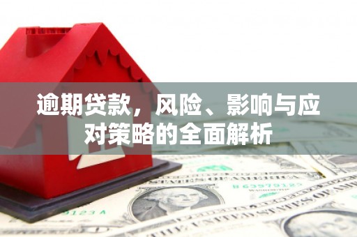 庆元逾期贷款，风险、影响与应对策略的全面解析