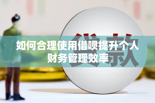 庆元如何合理使用借呗提升个人财务管理效率