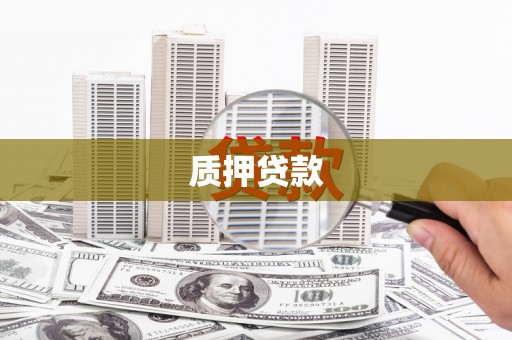 庆元质押贷款