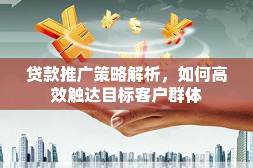 庆元贷款推广策略解析，如何高效触达目标客户群体