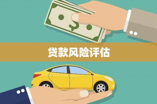庆元贷款风险评估