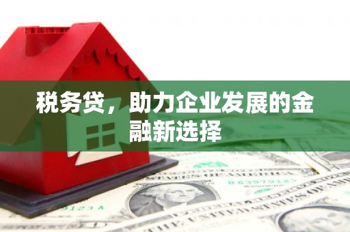庆元税务贷，助力企业发展的金融新选择