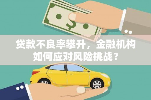 庆元贷款不良率攀升，金融机构如何应对风险挑战？