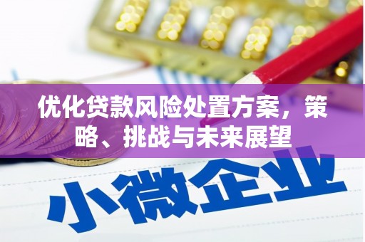庆元优化贷款风险处置方案，策略、挑战与未来展望