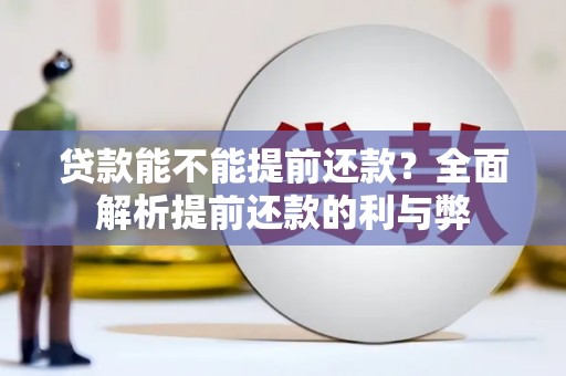 庆元贷款能不能提前还款？全面解析提前还款的利与弊