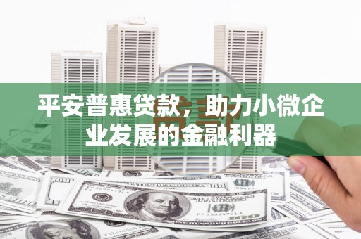 庆元平安普惠贷款，助力小微企业发展的金融利器
