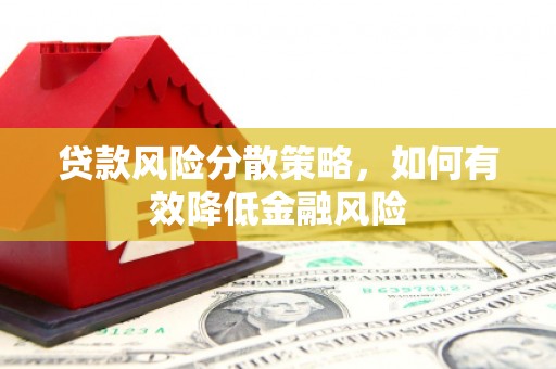 庆元贷款风险分散策略，如何有效降低金融风险