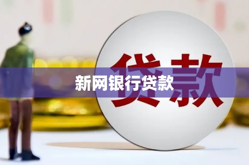 庆元新网银行贷款