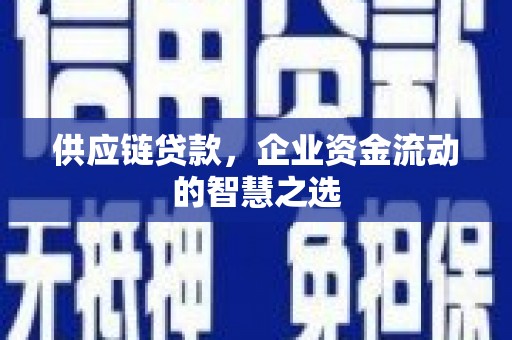 庆元供应链贷款，企业资金流动的智慧之选