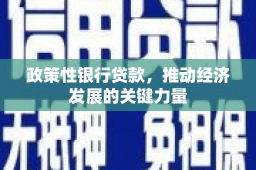 庆元政策性银行贷款，推动经济发展的关键力量