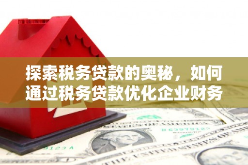 庆元探索税务贷款的奥秘，如何通过税务贷款优化企业财务