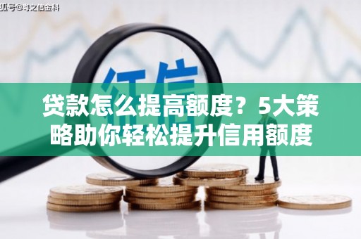 庆元贷款怎么提高额度？5大策略助你轻松提升信用额度