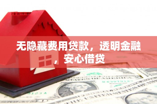 庆元无隐藏费用贷款，透明金融，安心借贷