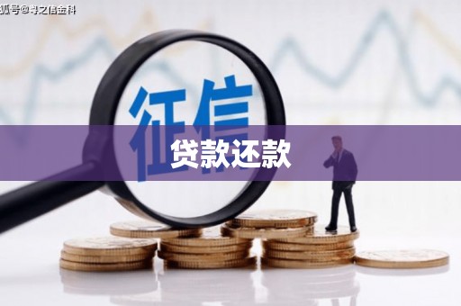 庆元贷款还款