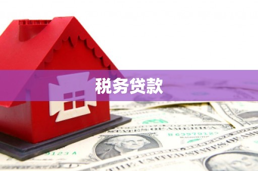 庆元税务贷款