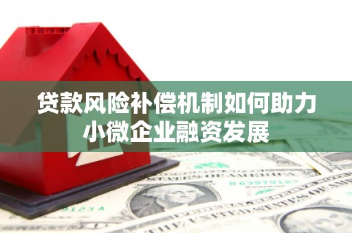 庆元贷款风险补偿机制如何助力小微企业融资发展