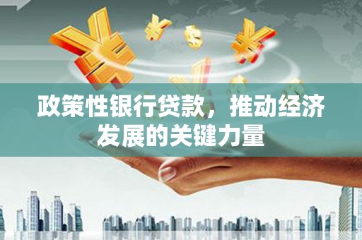 庆元政策性银行贷款，推动经济发展的关键力量