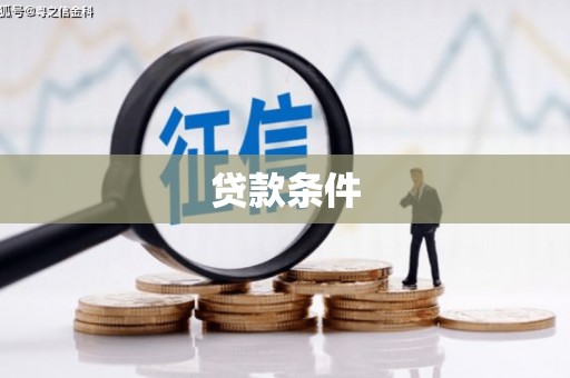 庆元贷款条件