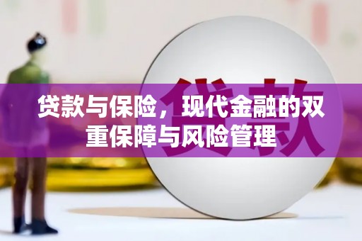 庆元贷款与保险，现代金融的双重保障与风险管理