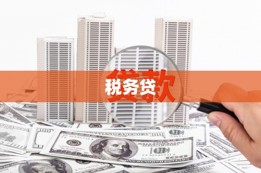 庆元税务贷