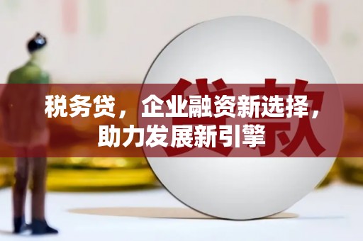 庆元税务贷，企业融资新选择，助力发展新引擎