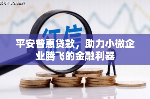 庆元平安普惠贷款，助力小微企业腾飞的金融利器