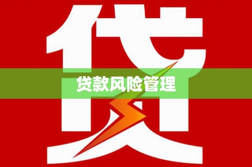 庆元贷款风险管理