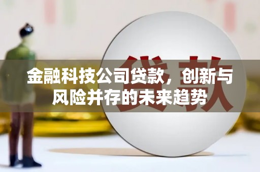 庆元金融科技公司贷款，创新与风险并存的未来趋势