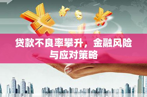 庆元贷款不良率攀升，金融风险与应对策略