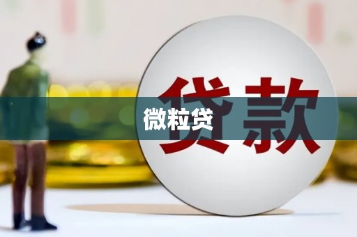 庆元微粒贷