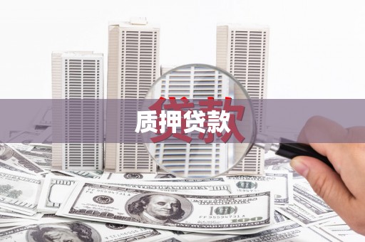 庆元质押贷款