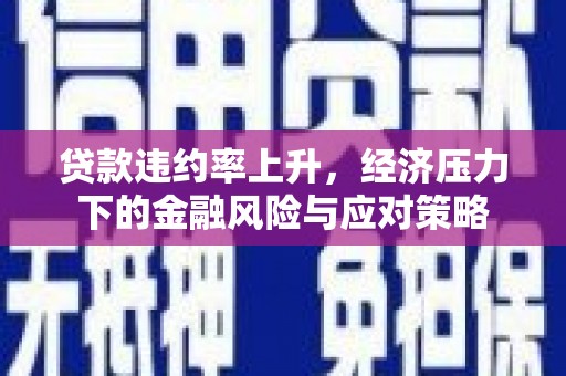 庆元贷款违约率上升，经济压力下的金融风险与应对策略