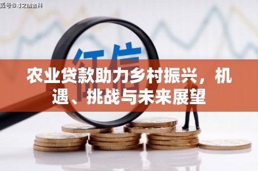 庆元农业贷款助力乡村振兴，机遇、挑战与未来展望