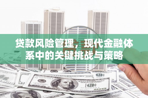 庆元贷款风险管理，现代金融体系中的关键挑战与策略