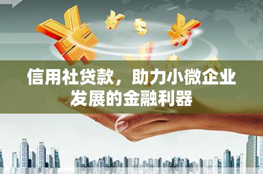 庆元信用社贷款，助力小微企业发展的金融利器