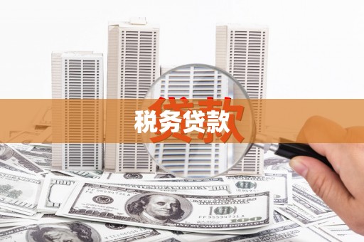 庆元税务贷款