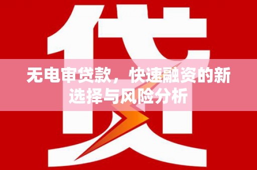 庆元无电审贷款，快速融资的新选择与风险分析