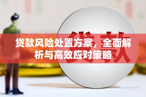 庆元贷款风险处置方案，全面解析与高效应对策略