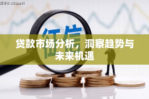庆元贷款市场分析，洞察趋势与未来机遇