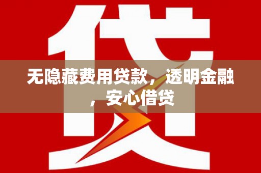 庆元无隐藏费用贷款，透明金融，安心借贷