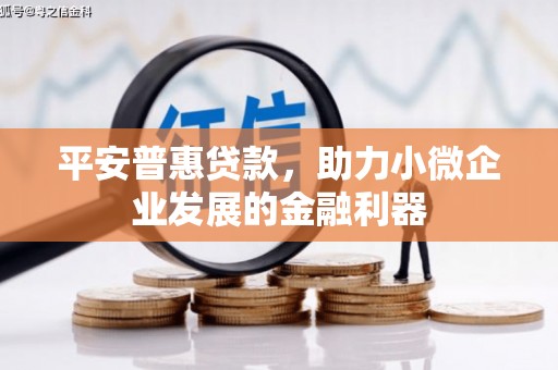 庆元平安普惠贷款，助力小微企业发展的金融利器