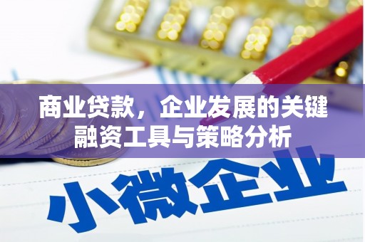 庆元商业贷款，企业发展的关键融资工具与策略分析