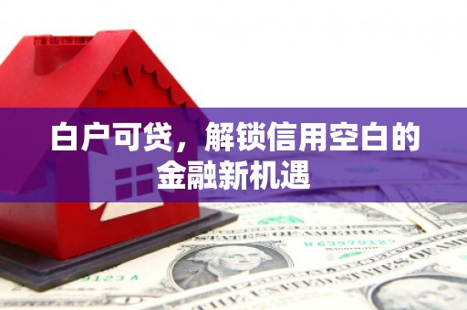 庆元白户可贷，解锁信用空白的金融新机遇
