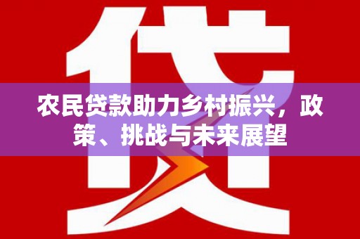 庆元农民贷款助力乡村振兴，政策、挑战与未来展望