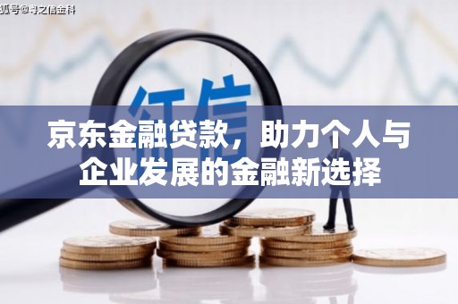 庆元京东金融贷款，助力个人与企业发展的金融新选择