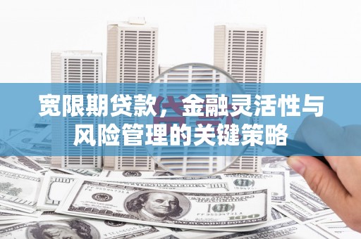 庆元宽限期贷款，金融灵活性与风险管理的关键策略