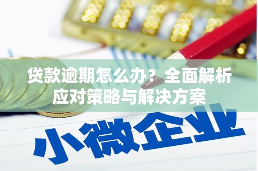庆元贷款逾期怎么办？全面解析应对策略与解决方案